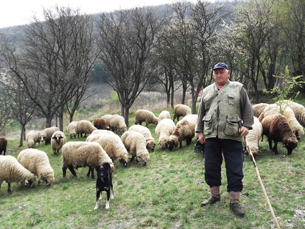 Од бачија остале успомене